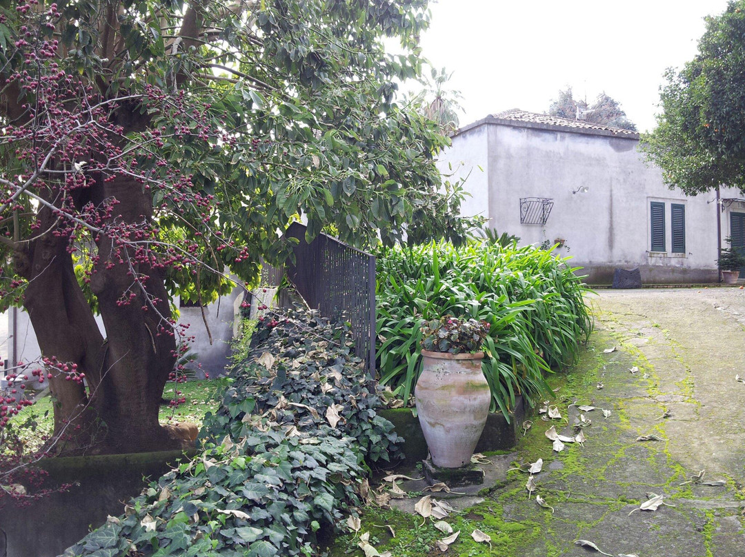 Agriturismo Tagliaborsa