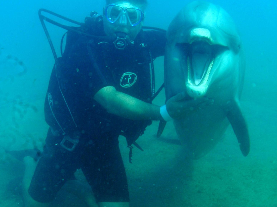 Ocean World Adventure Park, Puerto Plata-普拉塔港必去景点