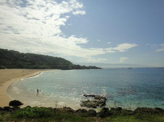 Hawaii Turtle Tours-火奴鲁鲁必去景点