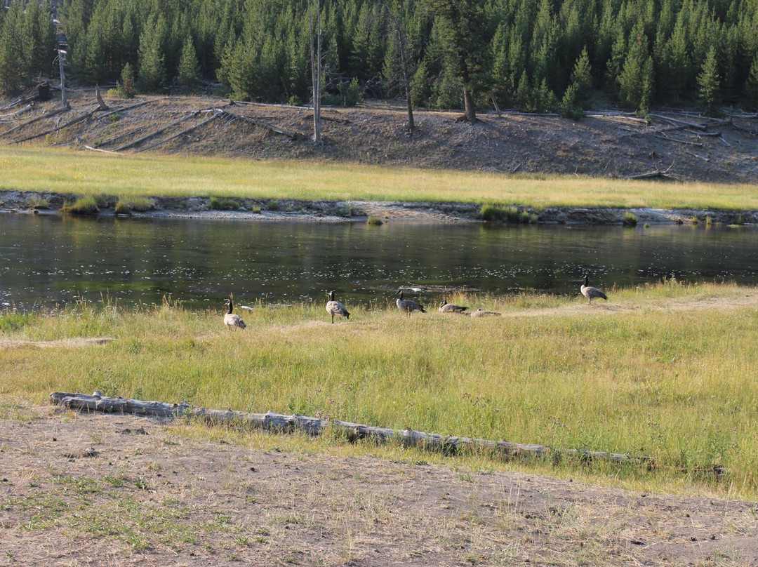 Grand Loop Road-黄石国家公园必去景点
