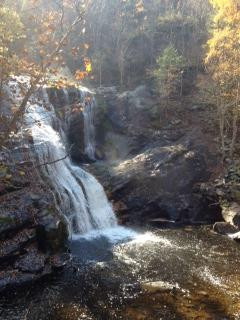 Bald River Falls景点图片