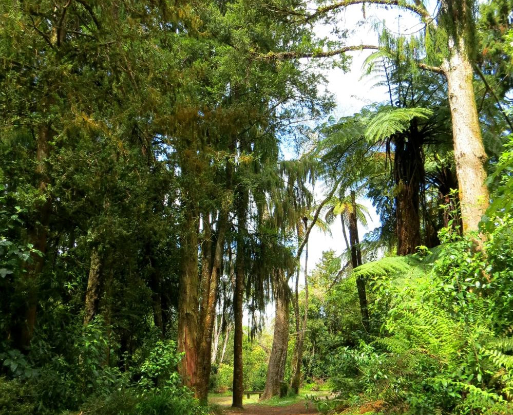 Patea River景点图片