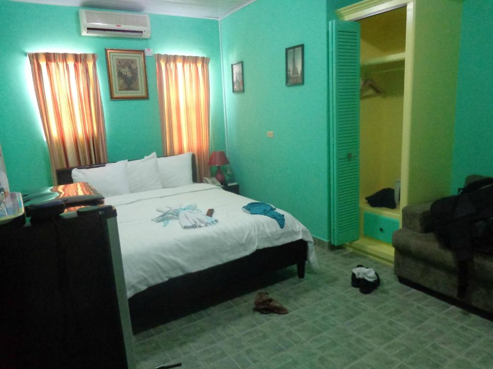 Hotel Princess Raven Guyana-酒店景观