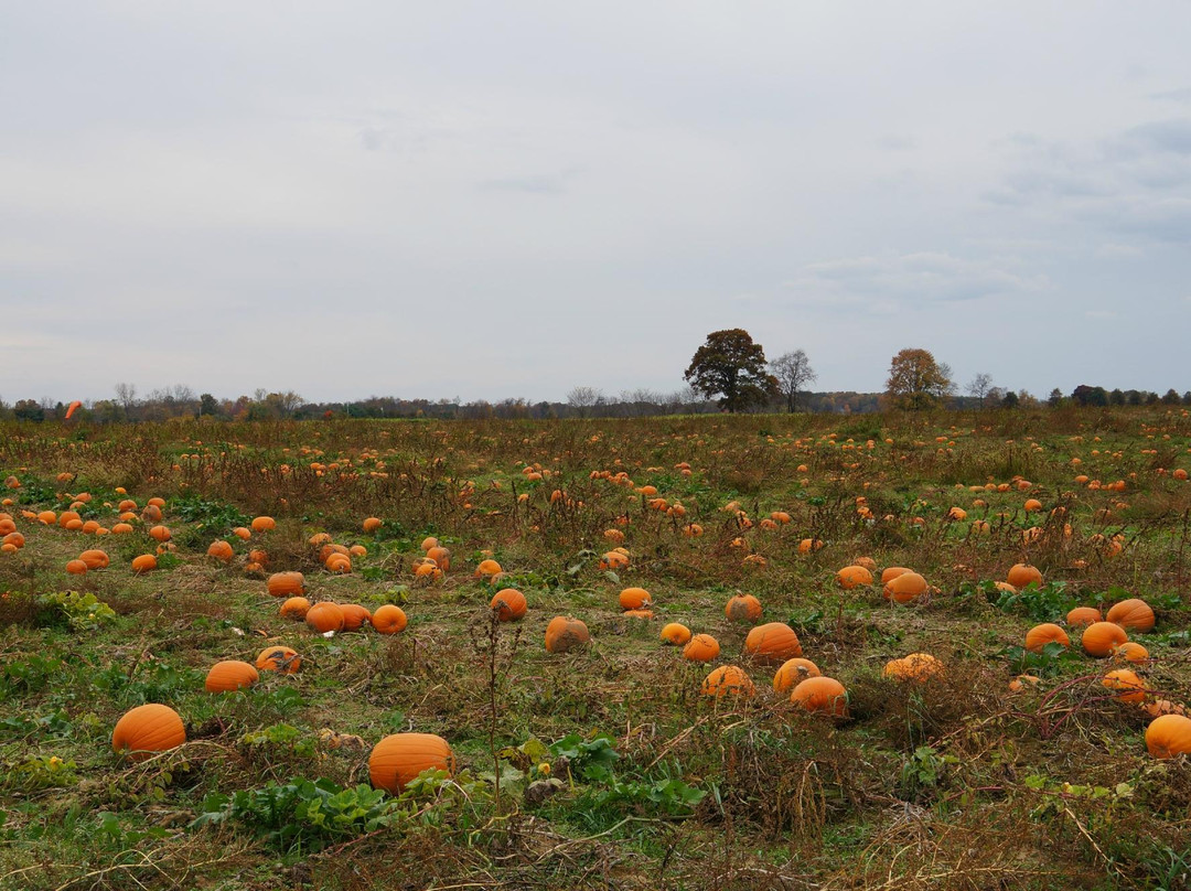 The Greig Farm-Red Hook必去景点