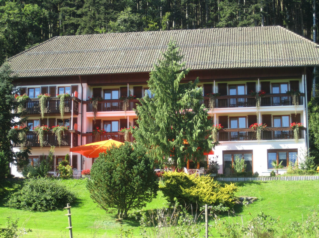 Zell am Harmersbach酒店住宿-Gasthof Kleebad