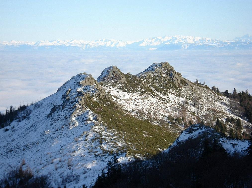 科塔奇酒店主图