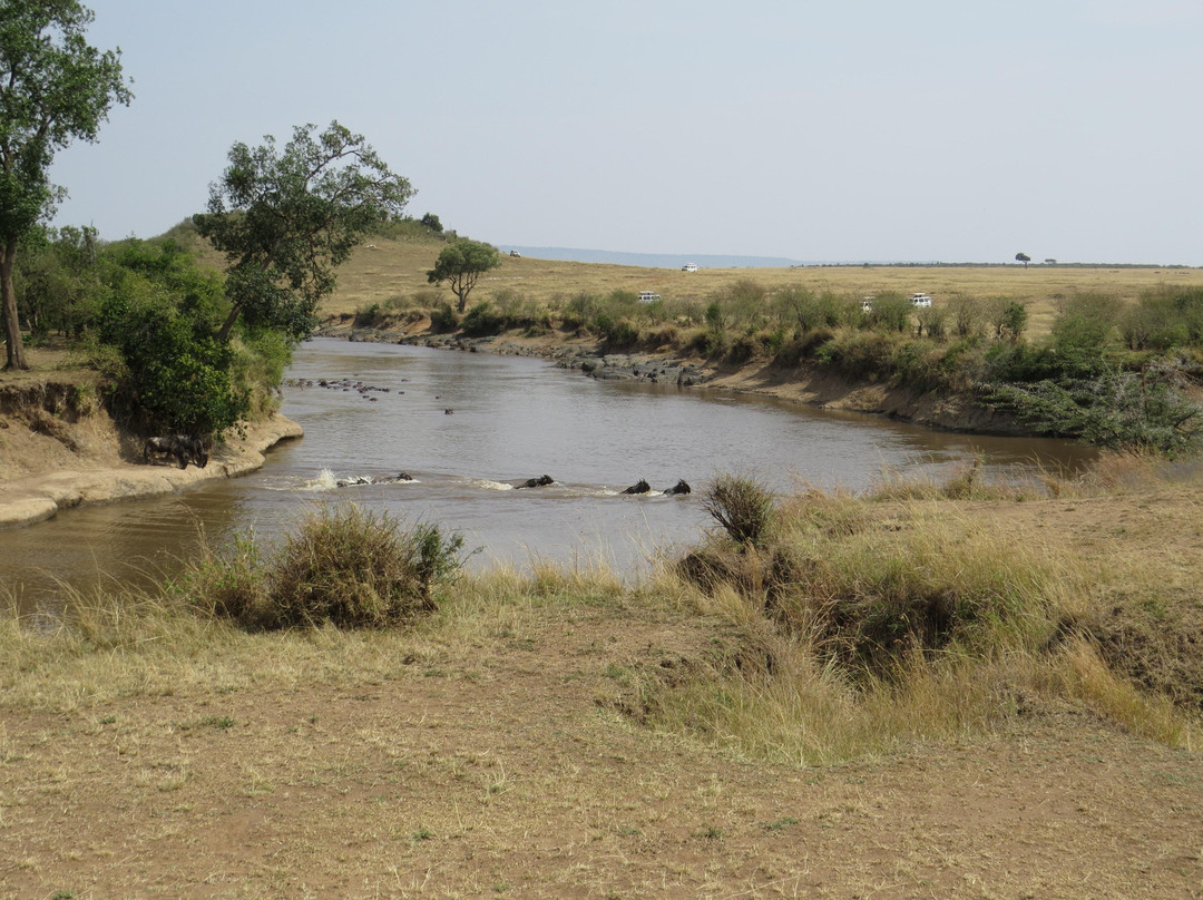 Mara Triangle-马赛马拉国家野生动物保护区必去景点