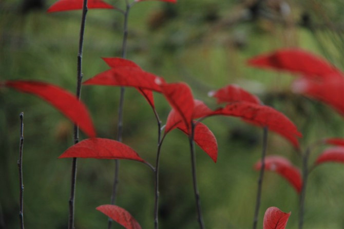 汾河公园-太原市必去景点