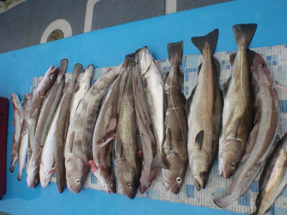 Valentia Island Sea Angling-Valentia Island必去景点