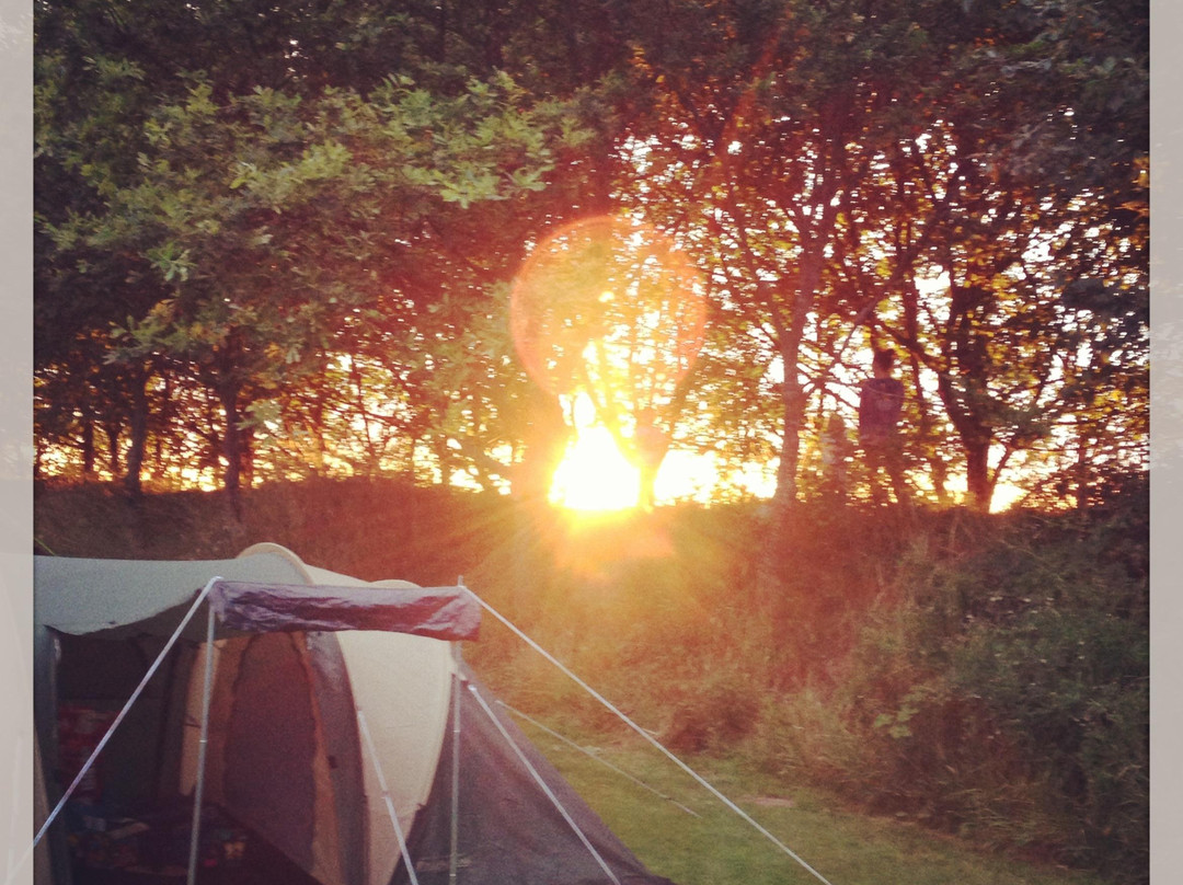 Meadowhead Waren Caravan Park