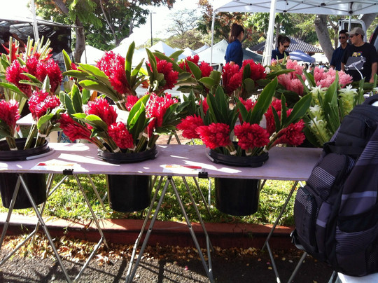 周六农夫市场-火奴鲁鲁必去景点