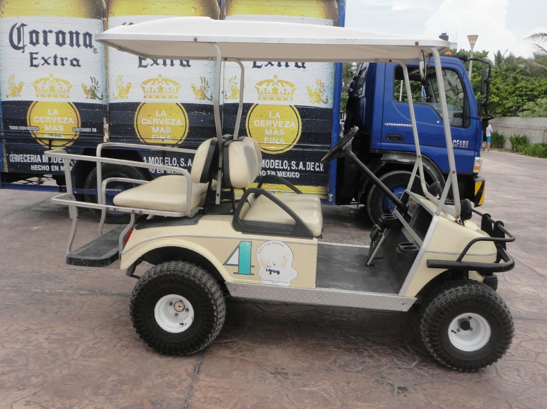 Prisma Golf Cart Rentals景点图片