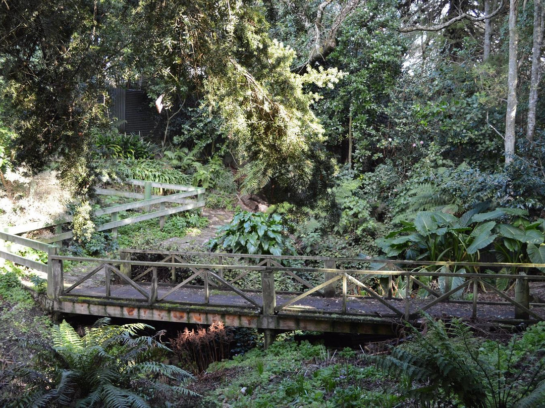 Goodson Dell-Hawera必去景点