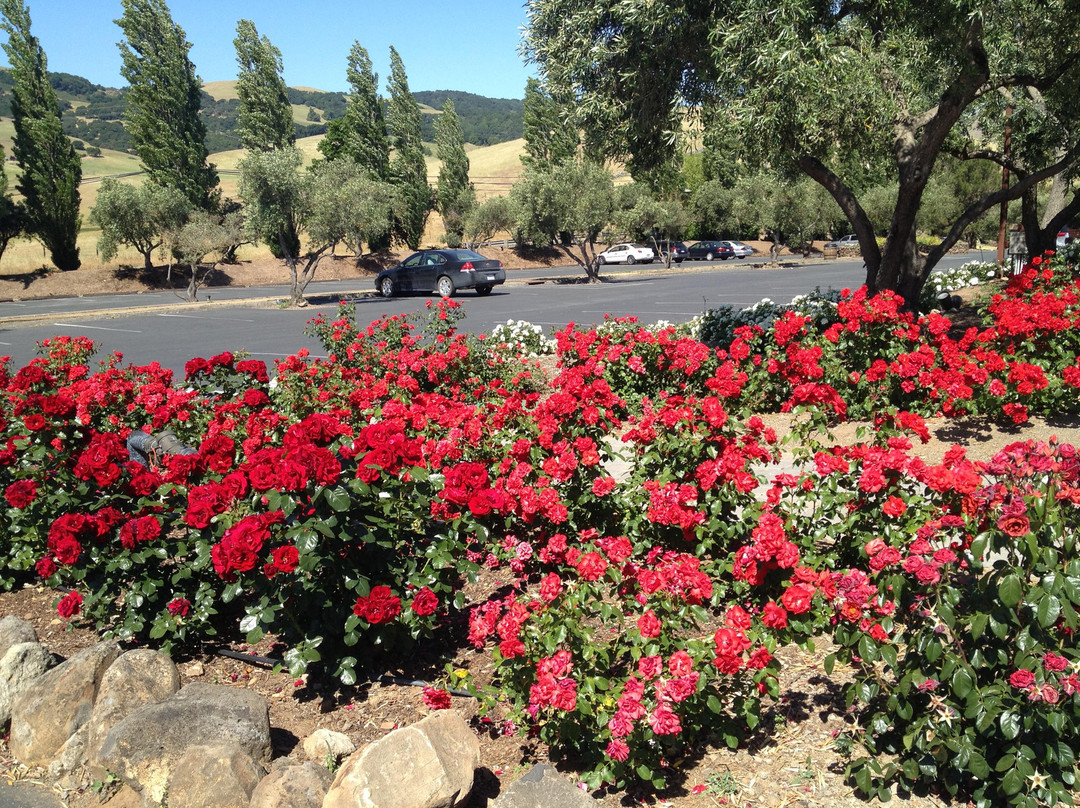 纳帕谷乡村酒庄之旅-纳帕必去景点