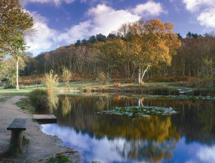 Kelling Heath