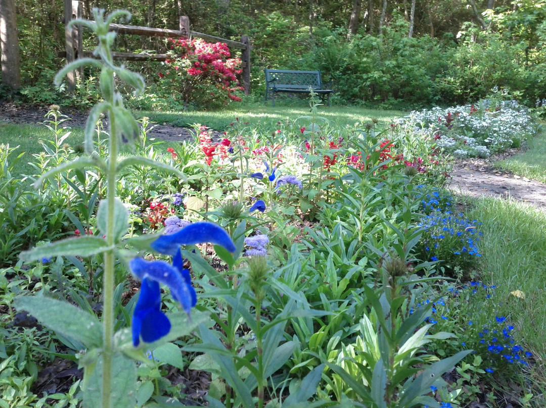 Leaming's Run Gardens景点图片