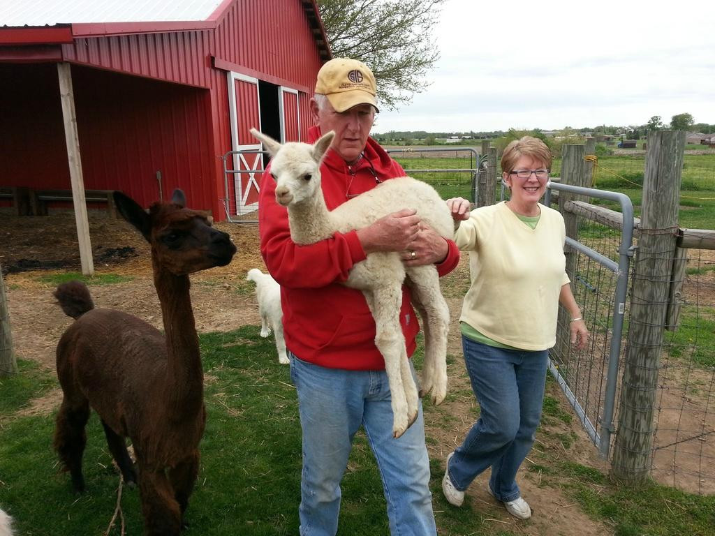 Charleston Farm Bed & Breakfast主图