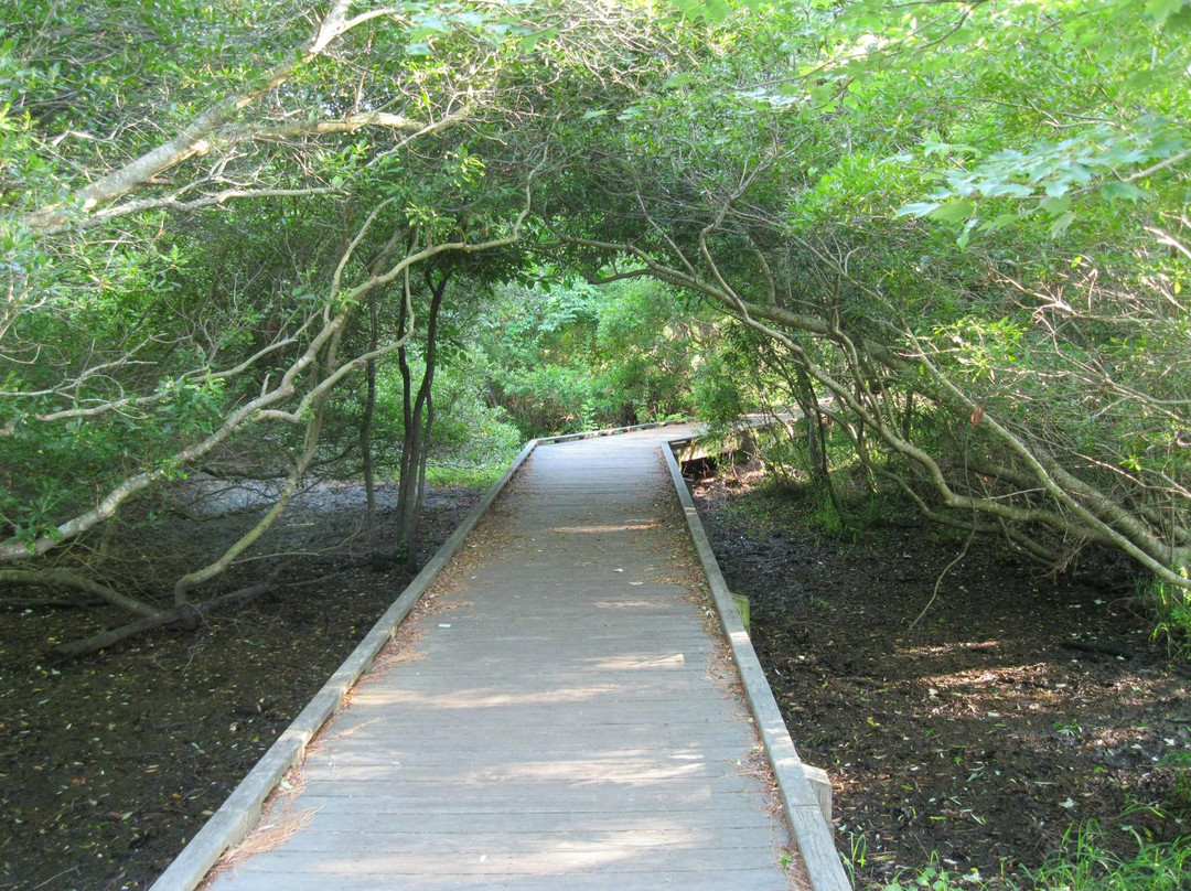 Currituck Banks景点图片