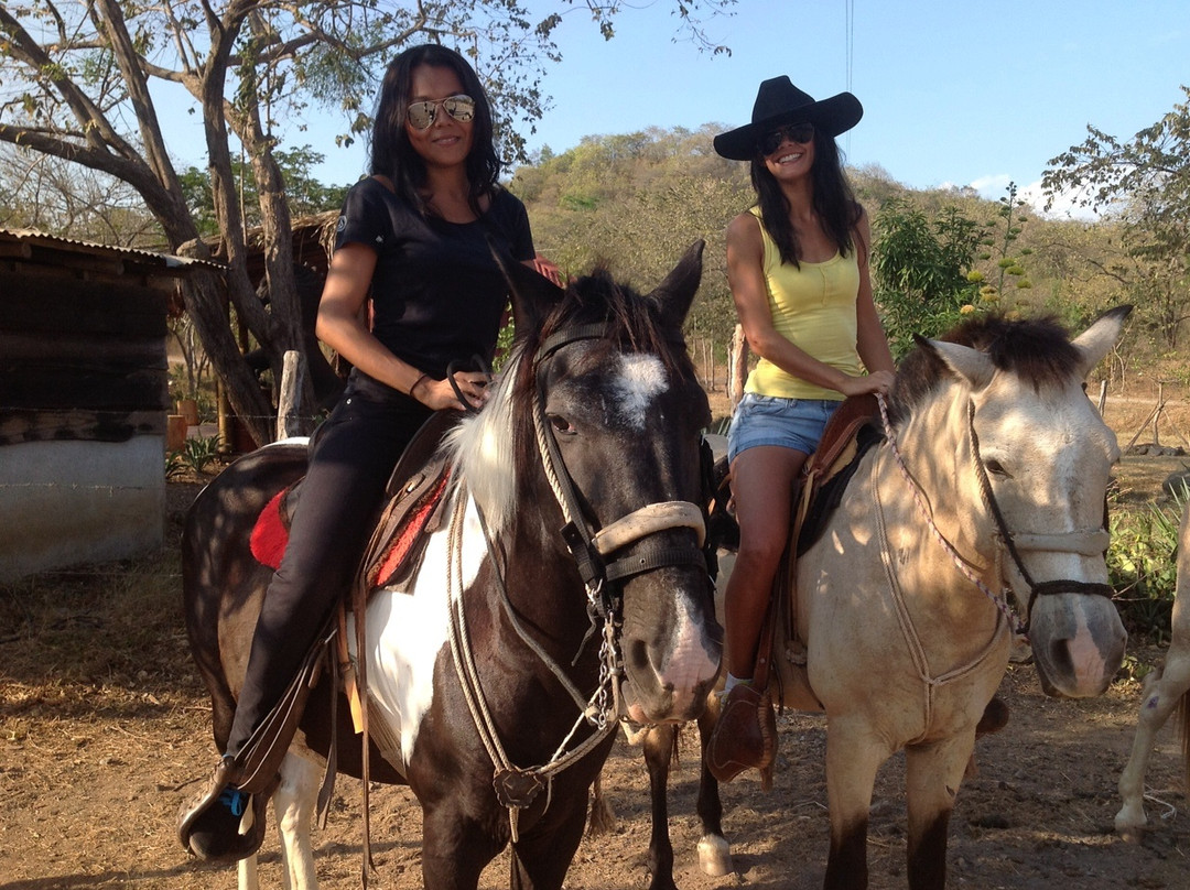 Black Stallion Eco Park & Estates景点图片