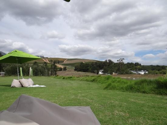 Warwick Wine Estate-斯泰伦博斯必去景点