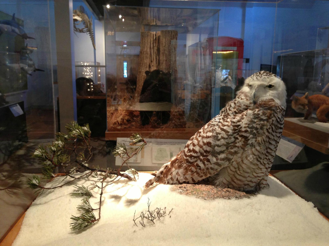 George B. Dorr Museum of Natural History-巴港必去景点