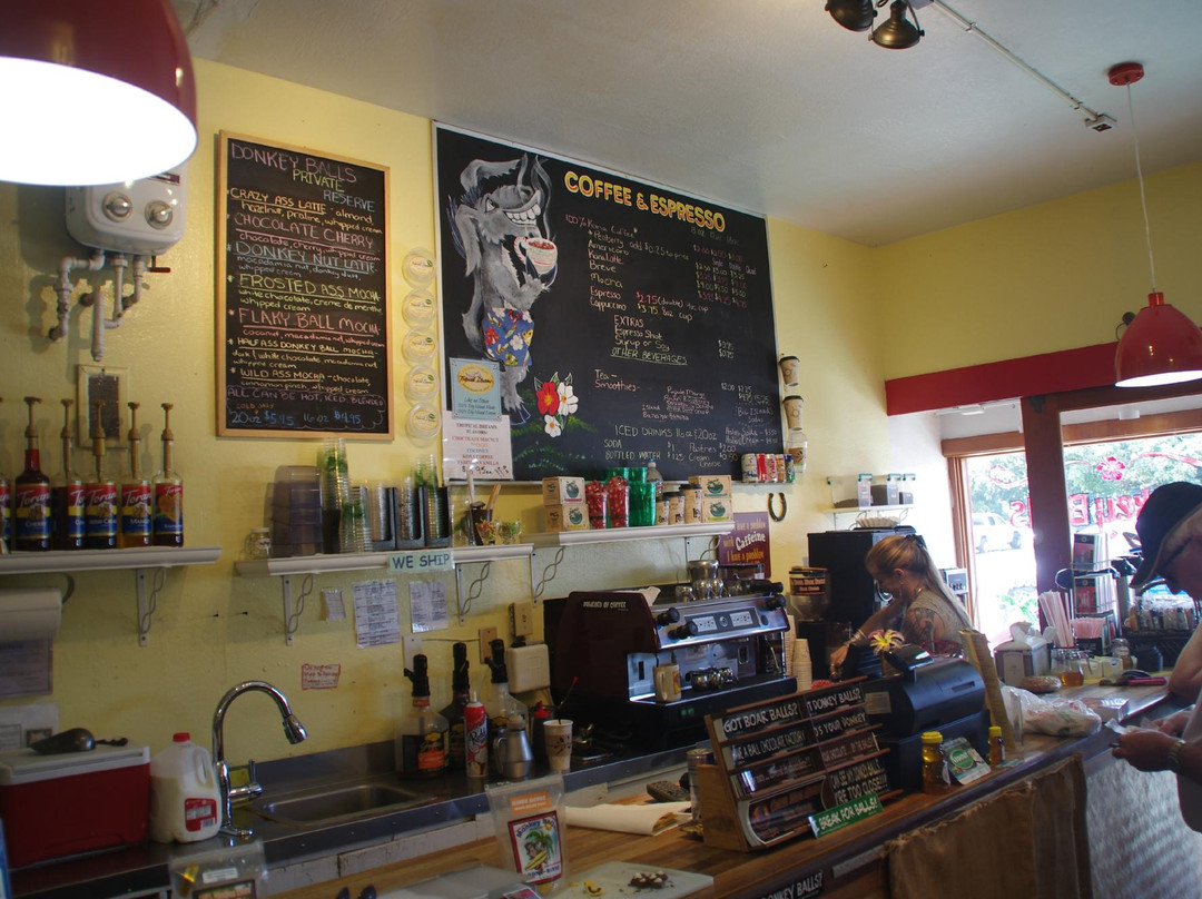 The Original Donkey Ball Store-基亚拉凯库亚必去景点