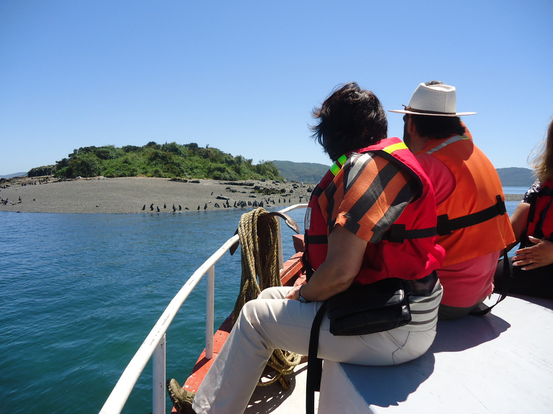 Quilun Ecoturismo Marino-Queilen必去景点