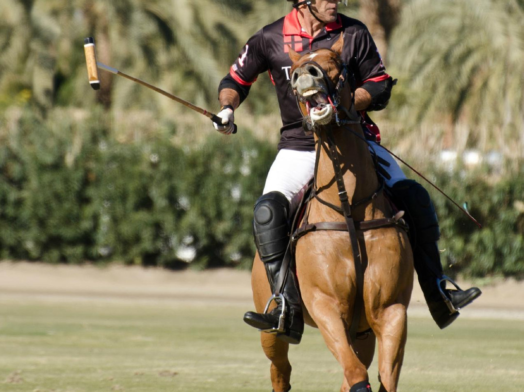 Eldorado Polo Club-印第奥必去景点