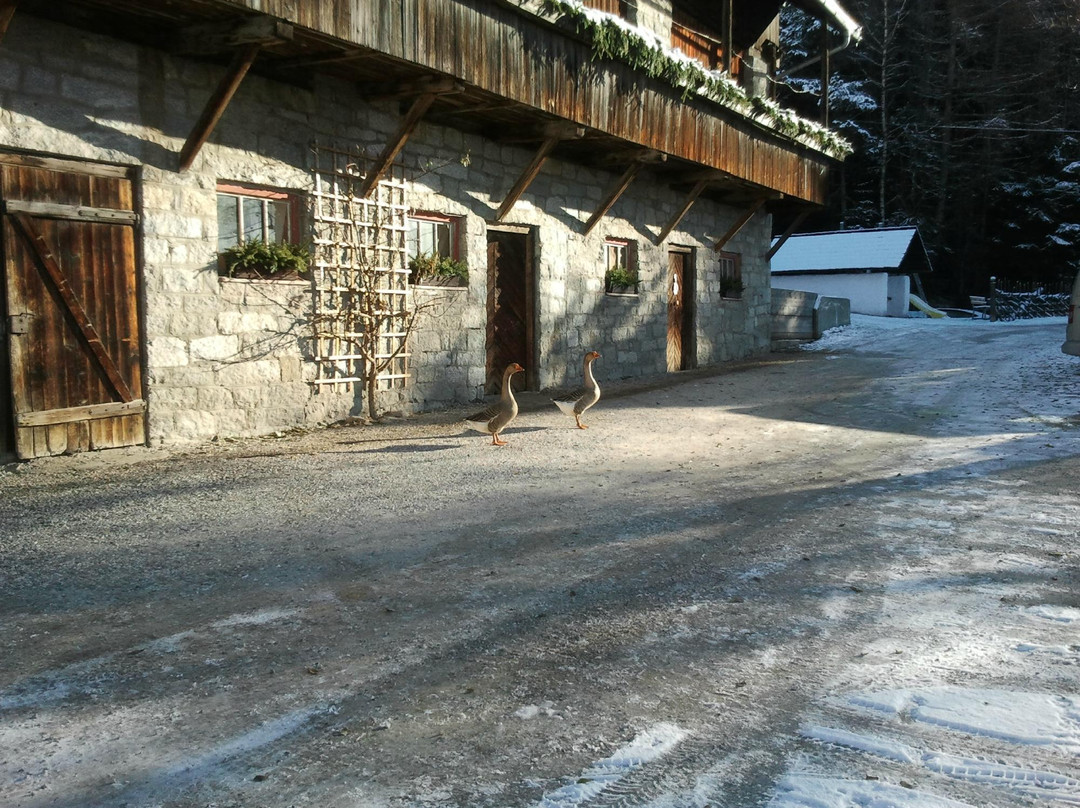 Lunes酒店住宿-Oberraut