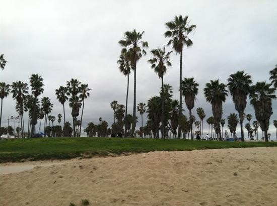 威尼斯海滩-洛杉矶必去景点