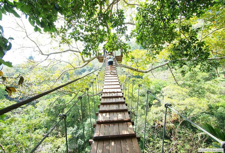 丛林飞梭-卡图必去景点