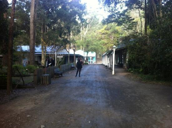 Timbertown Wauchope-Wauchope必去景点