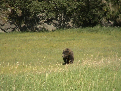 Homer Flyout Adventures-荷马必去景点