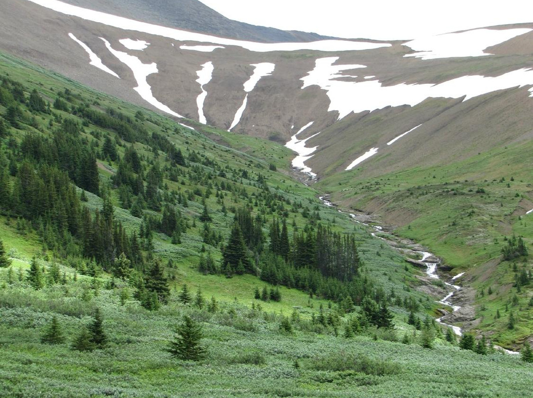 Opal Hills-贾斯珀必去景点