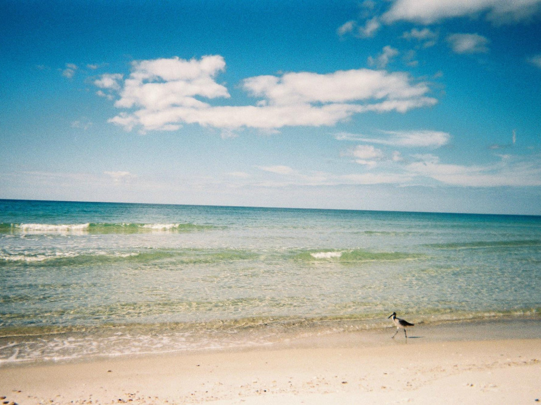 Cape San Blas景点图片