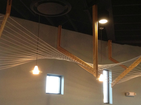 Webster餐馆和美食-Royal Dynasty Chinese