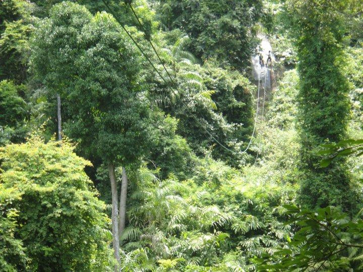 Langkawi Canopy Adventures景点图片