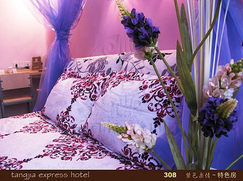 唐嘉快捷酒店主图