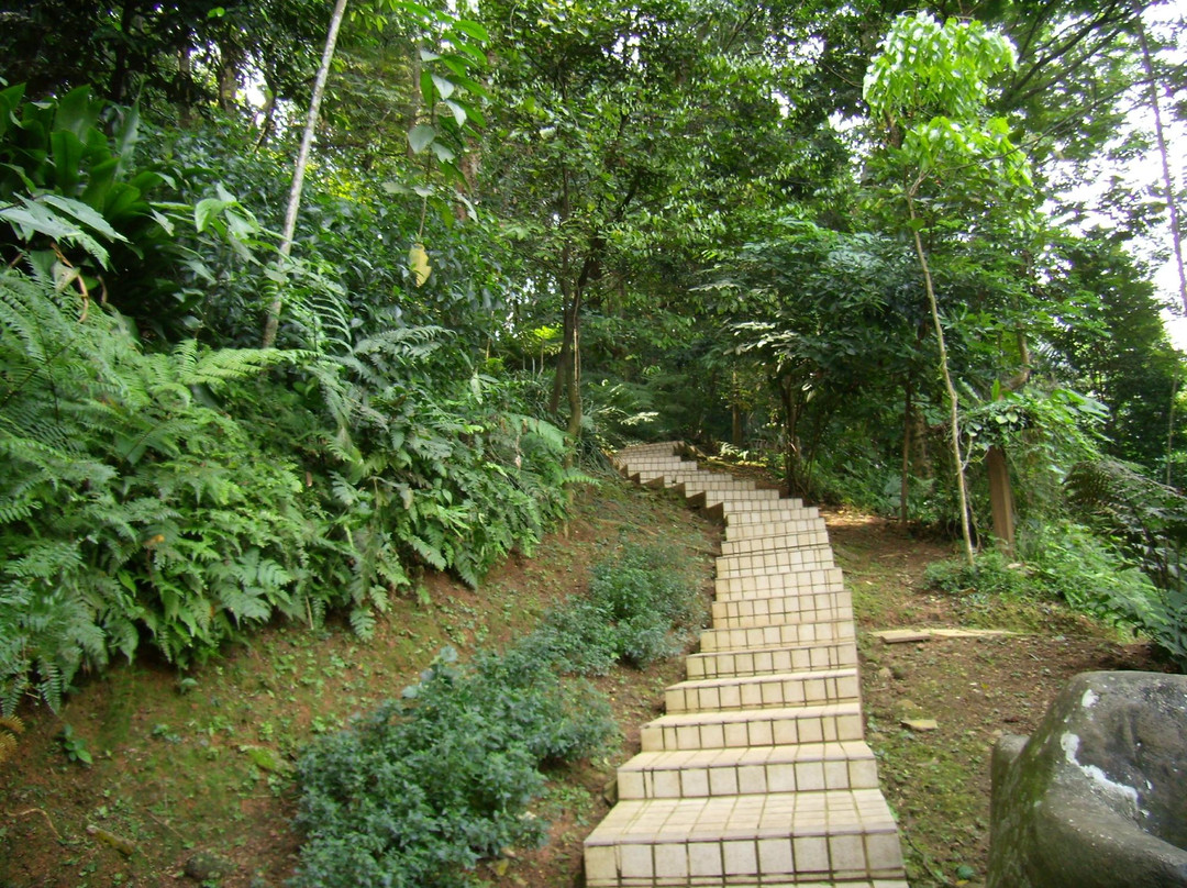 咖啡山森林保护区-吉隆坡必去景点