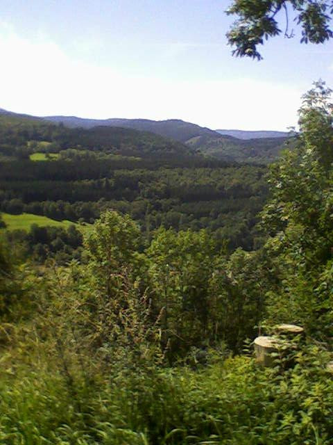 Auberge du Spitzemberg主图