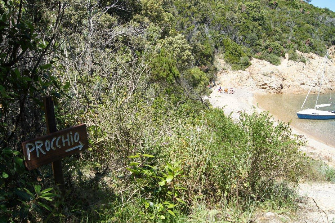 Walking trail to Spiaggia della Biodola-Procchio必去景点