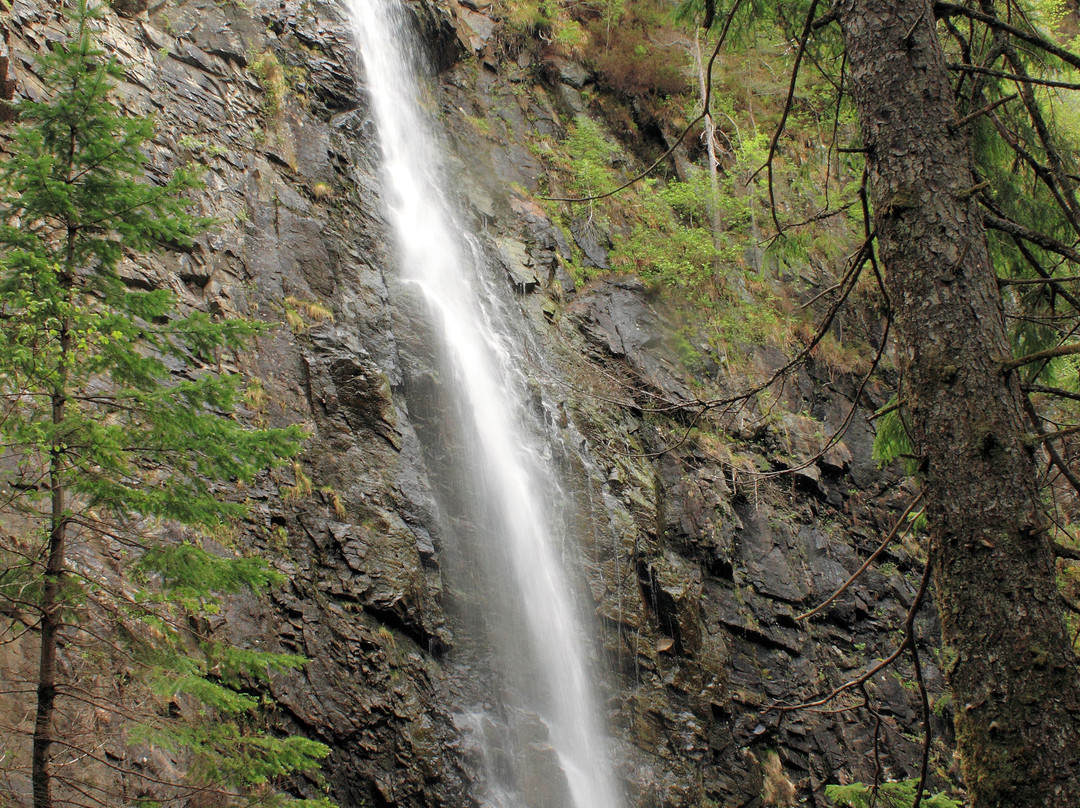 Plodda Falls-Tomich必去景点