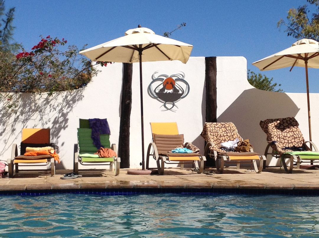 Inverdoorn Private Game Reserve-开普敦中心区必去景点