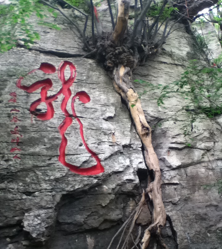 青檀寺-枣庄市必去景点