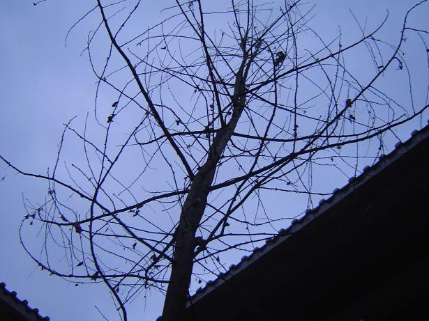 韶关云门寺-乳源瑶族自治县必去景点