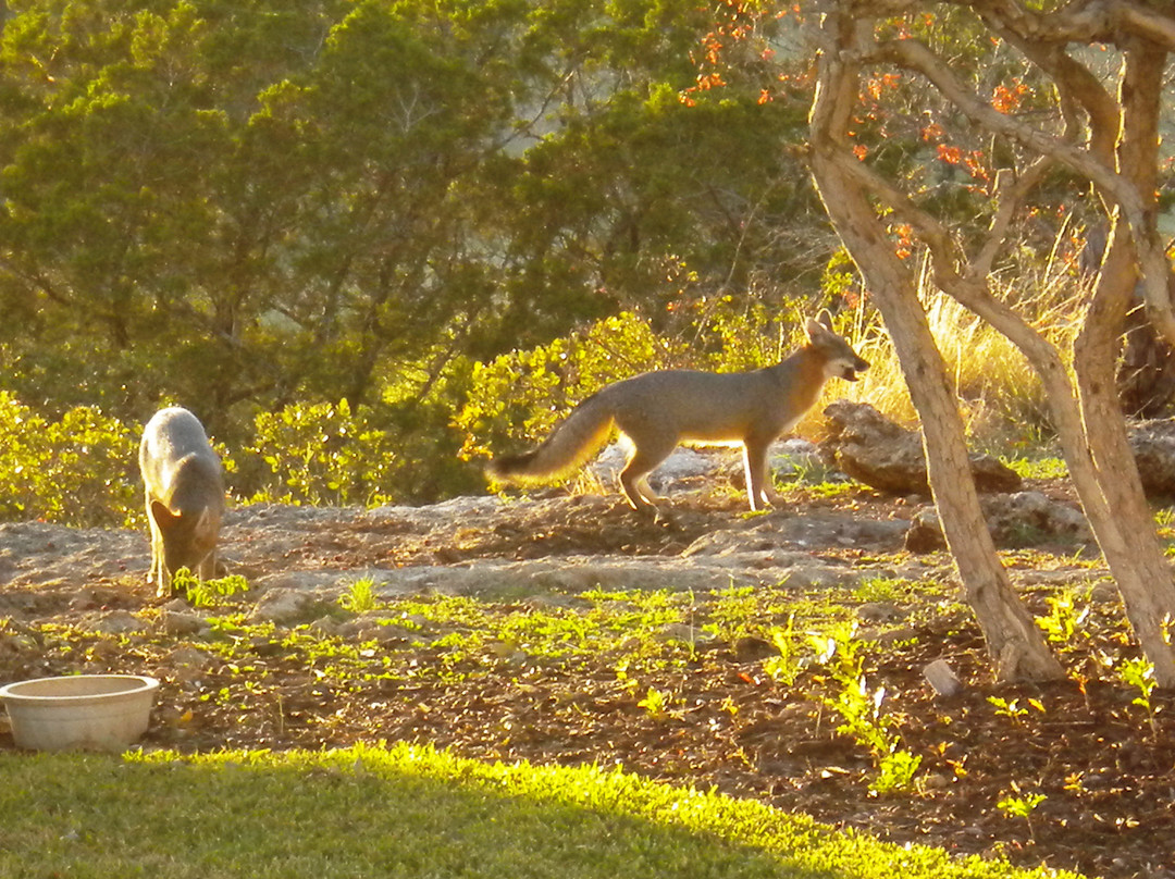 Sunset Ridge Bed and Breakfast主图