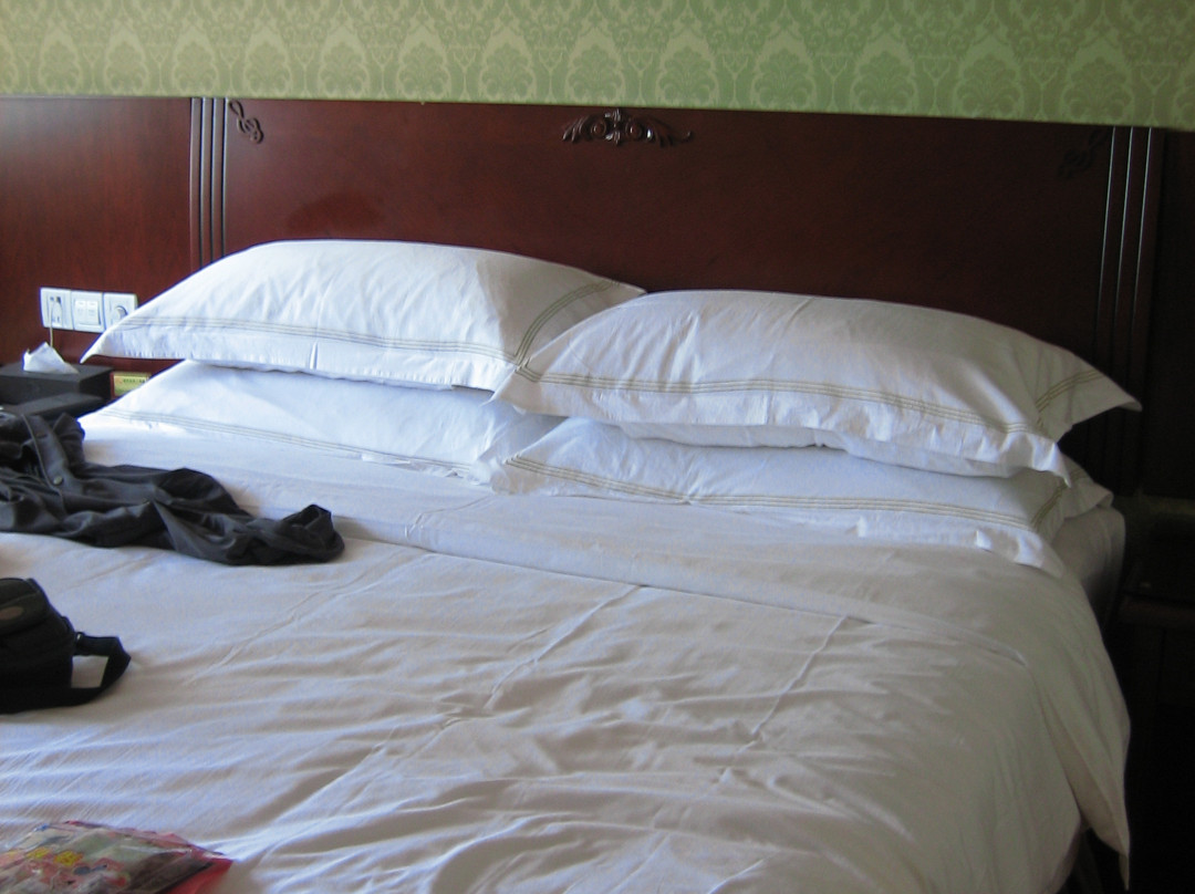 维也纳国际酒店(杭州西湖文化广场地铁站店)主图