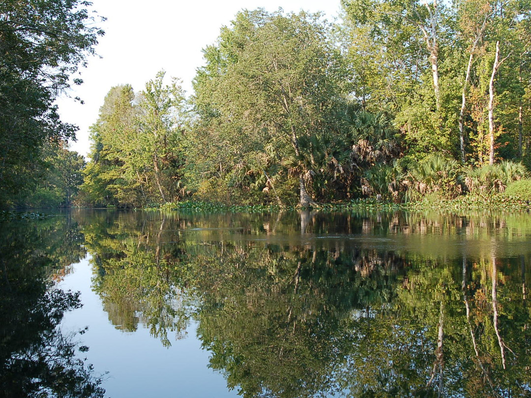 Silver Springs State Park-Silver Springs必去景点