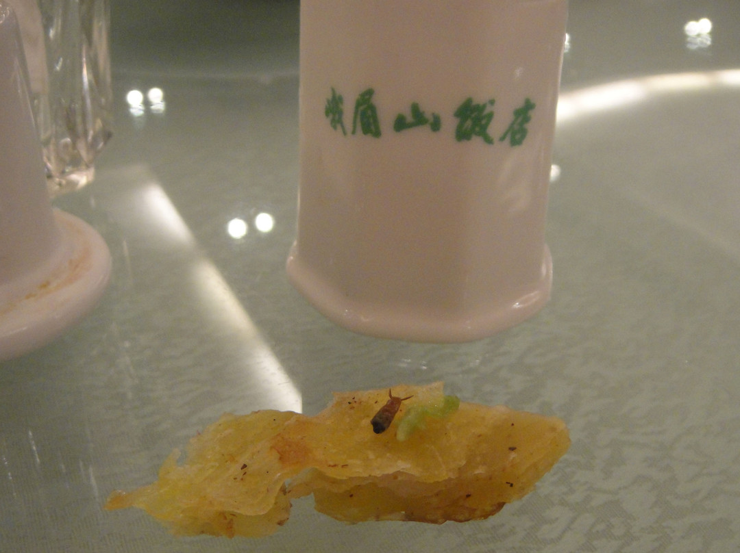 峨眉山温泉饭店主图