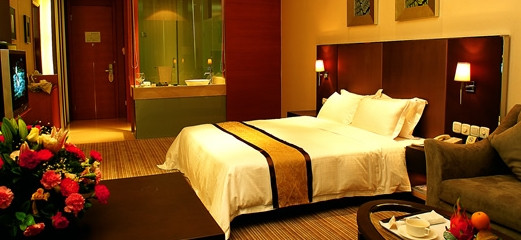 深圳维也纳酒店华南城主图